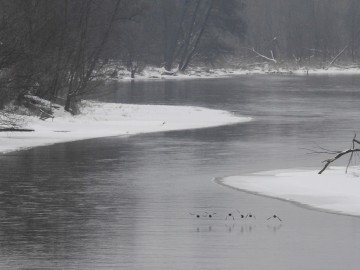 Gągoły w Załęczańskim PK, K.Gara